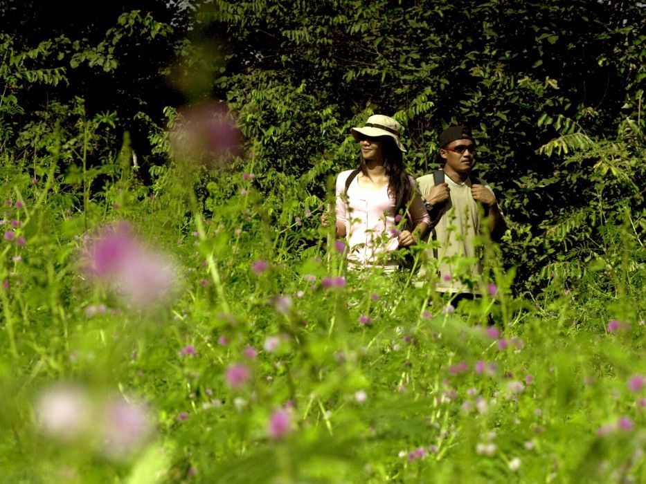 The Menjangan By Lifestyleretreats Hotell Banyuwedang Eksteriør bilde