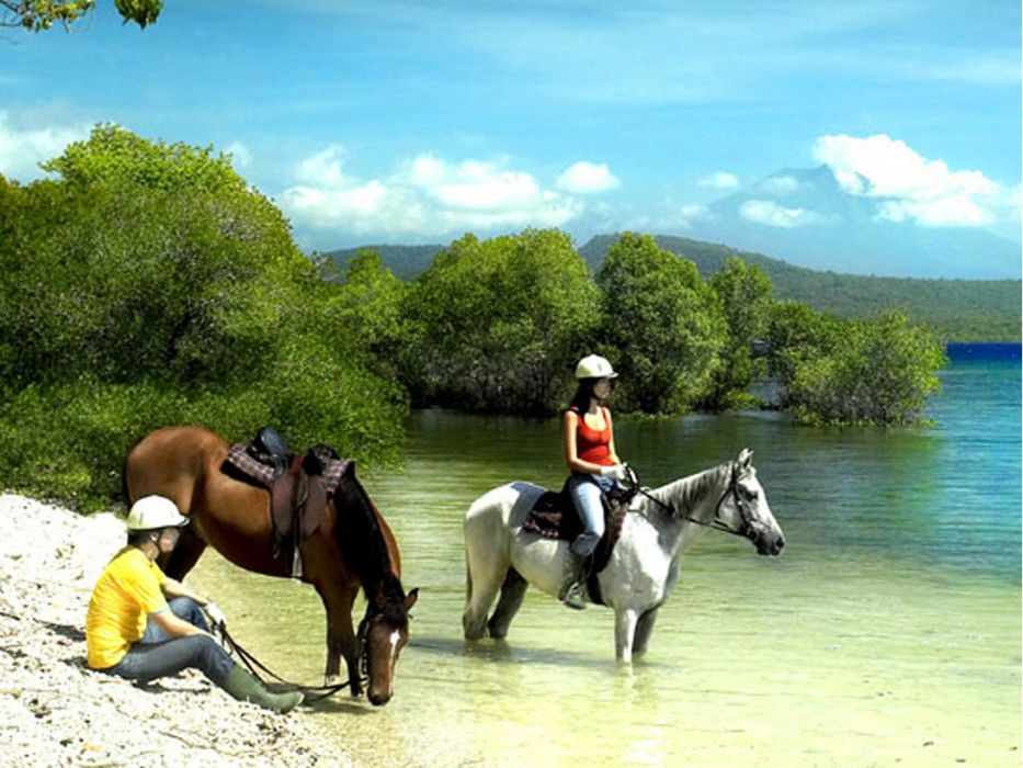 The Menjangan By Lifestyleretreats Hotell Banyuwedang Eksteriør bilde